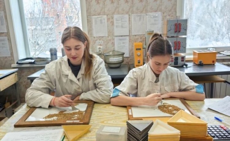 Итоги проверки качества иркутской пшеницы 2024