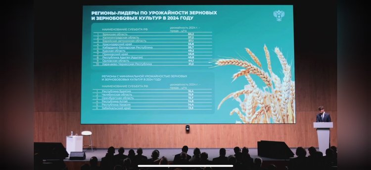 Калининградская область заняла 2 место в России по урожайности зерновых и зернобобовых