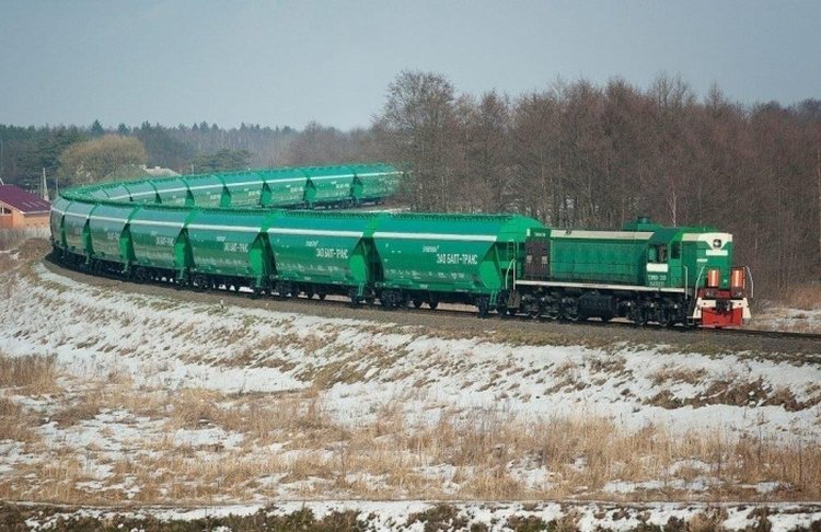 За январь 2025 объемы поставок башкирского зерна в другие регионы России увеличились в 3 раза