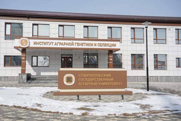 Глава Ставрополья ознакомился с новыми направлениями аграрной науки в СтГАУ и разработкой средств защиты растений