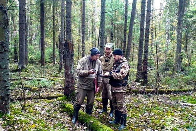 Насекомые энтомофаги в лесах Ярославской области получают экологическую защиту