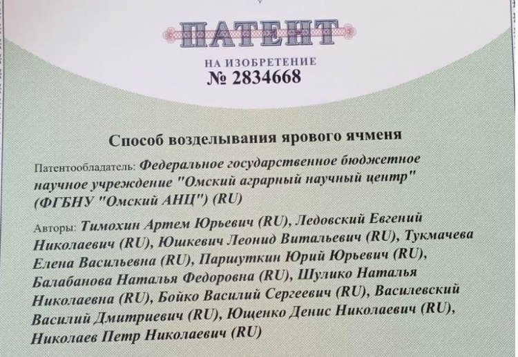 Оптимизированную технологию для выращивания ярового ячменя запатентовали в Омском АНЦ 