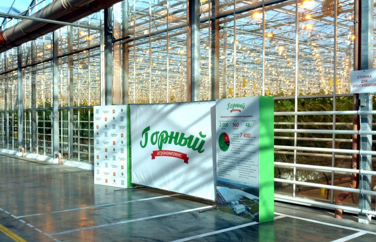 В Челябинской области первый сертификат «зеленой» продукции выдан тепличному производителю