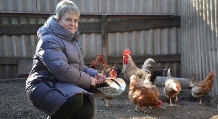 Для птицеводства по соцконтракту жительница Старого Оскола Белгородской области выбрала кур и индеек