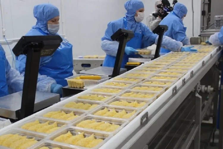 Донские предприятия промышленного производства мяса индейки и утки выплатили 1,7 млрд рублей налогов