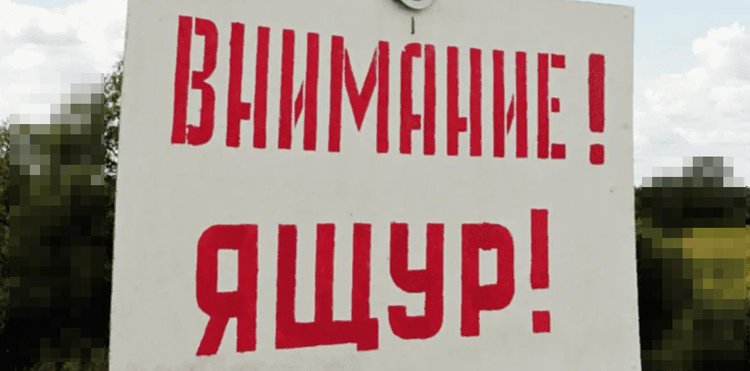 Грозит ли России вспышка ящура по вине ЕС?