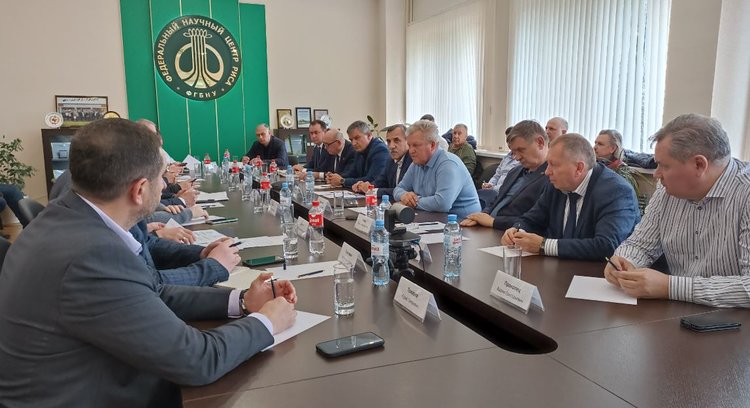 В Краснодарском крае в этом году под рис отведут порядка 117 тысяч гектаров
