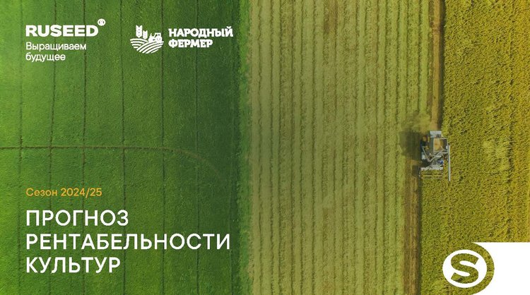 Прогноз на новый сезон: масличные культуры останутся наиболее прибыльными в растениеводстве