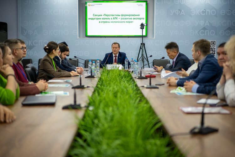 По обновленным данным агроэкспорт Башкортостана достиг $349 млн в 2024 году