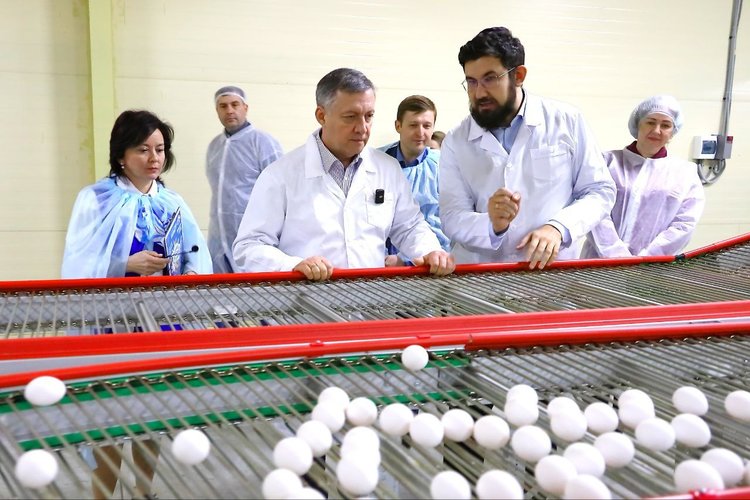Иркутское предприятие снизило цены на яйца к Пасхе благодаря модернизации