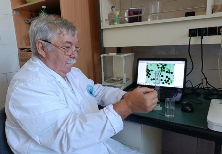 Почему хирономиды важны для эффективной аквакультуры