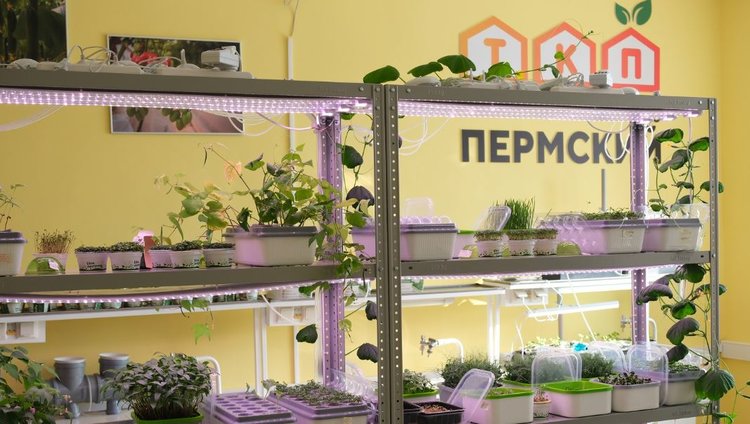 В Пермском крае откроют 7 новых агроклассов с современным оборудованием
