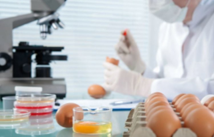 Высокоточный метод обнаружения антигельминтного препарата в продуктах животноводства разработан ФГБУ «ВГНКИ»