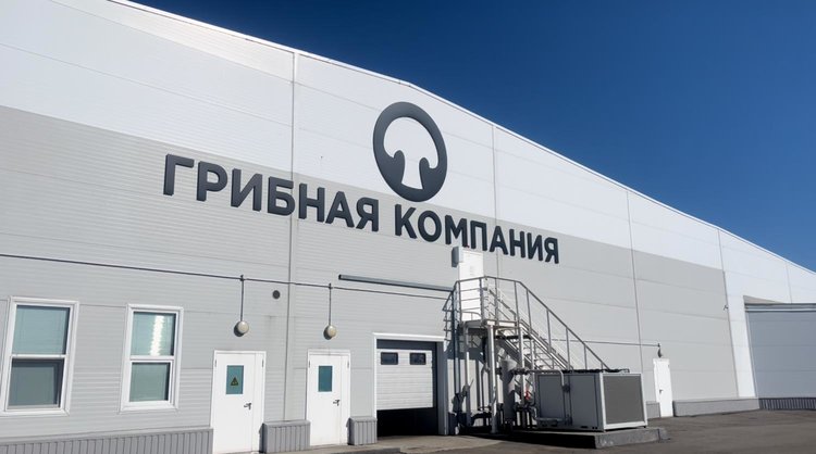 «Грибная компания» импортозаместила шампиньоны