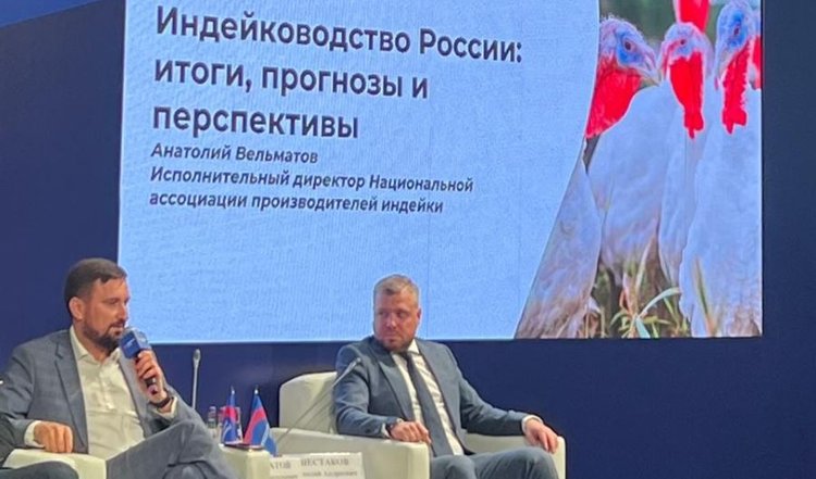 У индейководов России амбициозные планы от мяса до инкубационного яйца