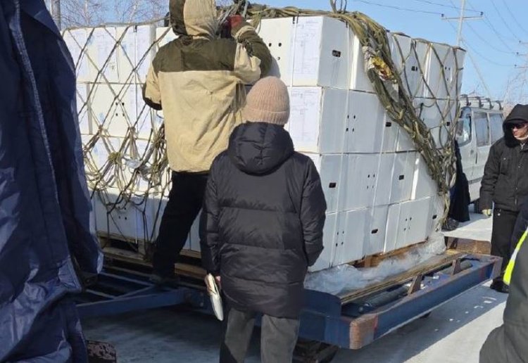 Якутская птицефабрика получила ценный груз от Ломан Браун Рус