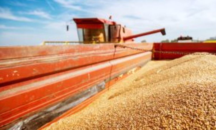 Экспорт российского зерна и продуктов его переработки: итоги за I квартал 2025 года 