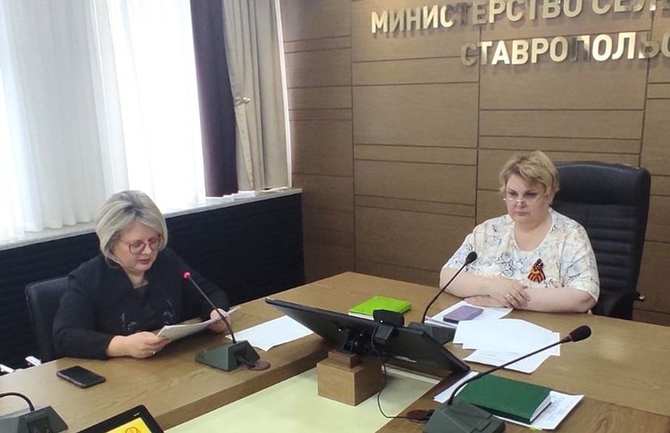 Наибольшие площади обработают от саранчи в этом году в Ставропольском крае