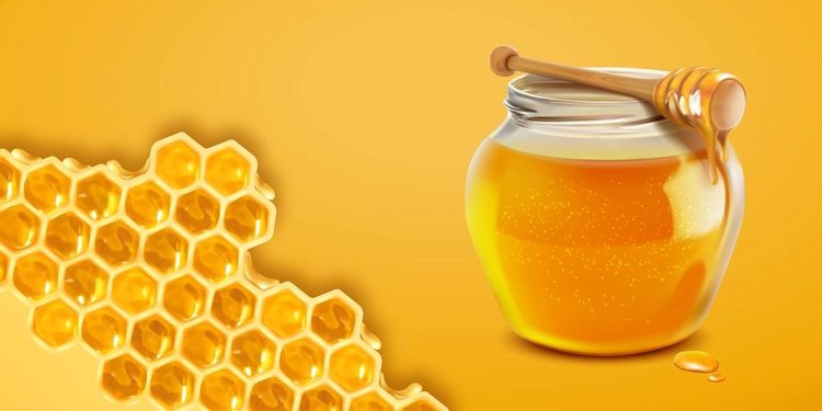 Исторический рекорд по экспорту меда поставила Россия в 2024 году 