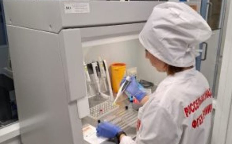 Запрещенные ГМО в партиях семян из Канады обнаружили эксперты