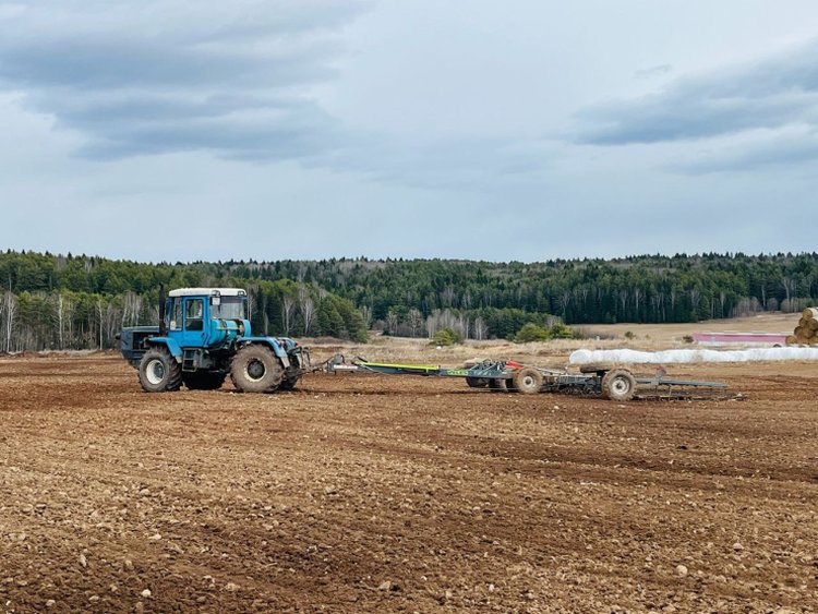 В Прикамье весенне-полевые 2025 стартуют примерно 6 мая