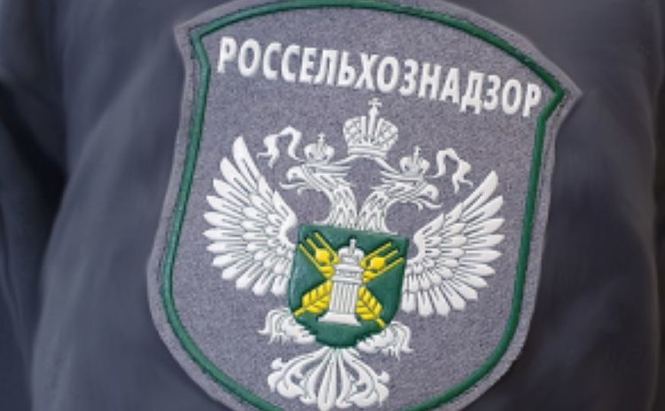 Новые ветеринарные правила по сапу - эти положения надо знать