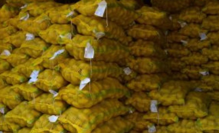 Из Пакистана в Россию картофельная моль путешествует 3 раз с начала года