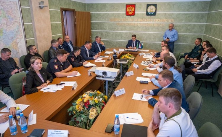 В МСХ Башкортостана обсудили жесткие меры против нелегального ввоза пчел 