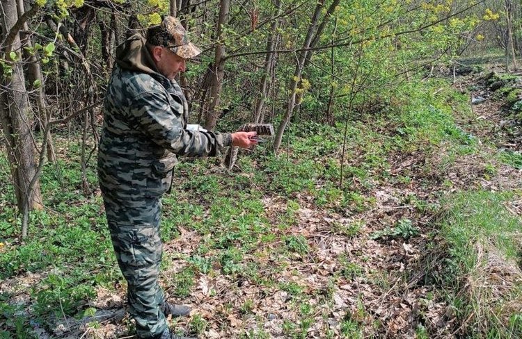 Чем вакцинируют диких животных от бешенства в Ярославской области