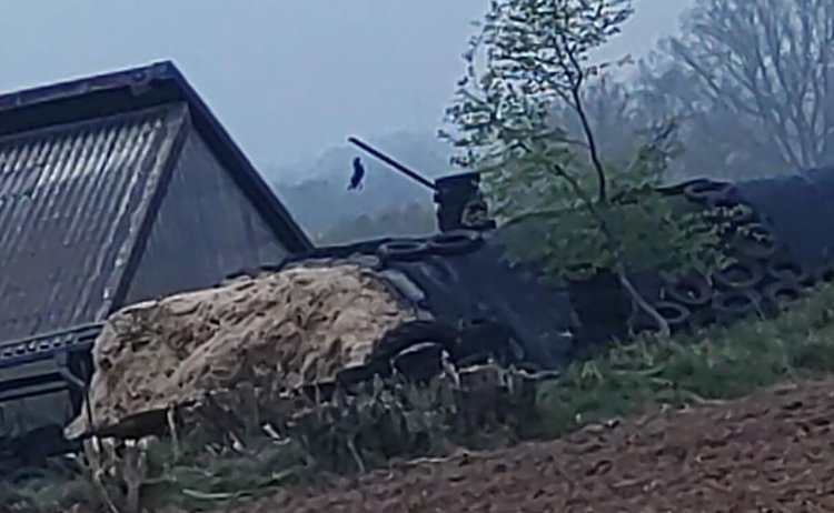 Мониторинг фермеров с дохлыми воронами ведут зоозащитники в Германии