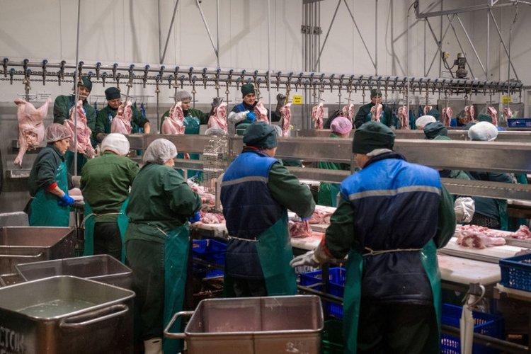 В Конго с начала года Башкортостан поставил 160 тонн продукции из индейки