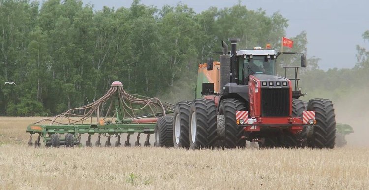 Яровой сев 2025 в Омской области завершается значительной прибавкой масличных гектаров