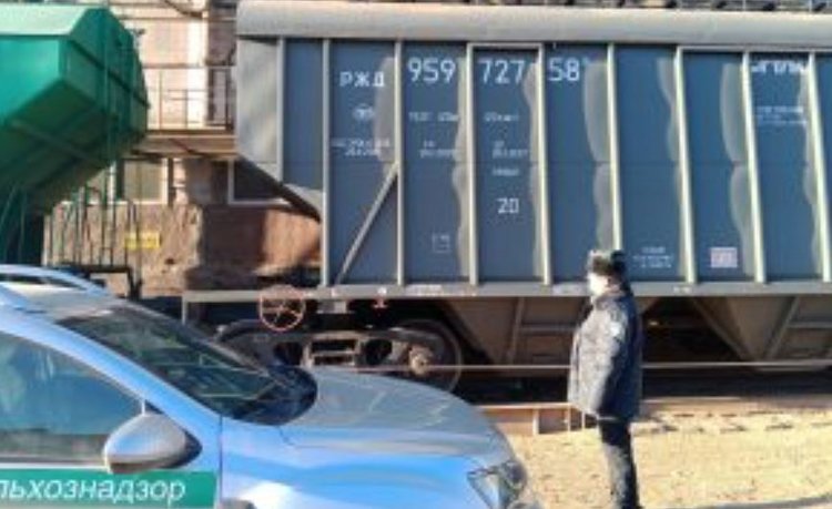 С начала года Башкортостан поставил в Европу и Африку более 57 тысяч тонн подсолнечного шрота