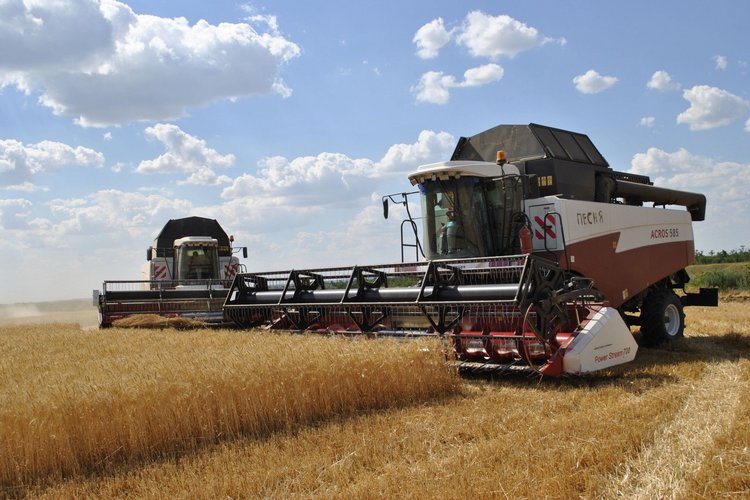 Жатва 2025 в Ростовской области подходит к экватору, поля готовят под озимые