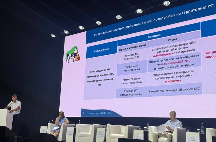 На Молочном форуме ученый ВНИИЗЖ рассказал о новых разработках для профилактики болезней КРС