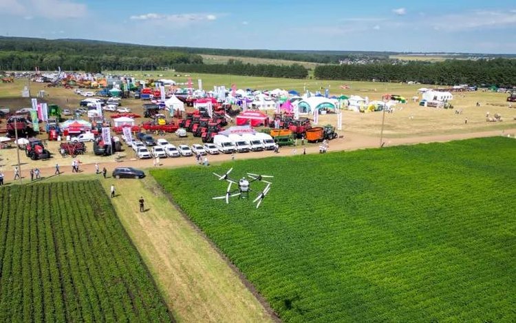 2025 год стал для Башкортостана рекордным по масличным площадям