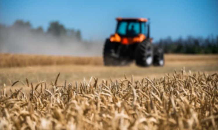 Средняя урожайность зерна 2025 растет в Липецкой области