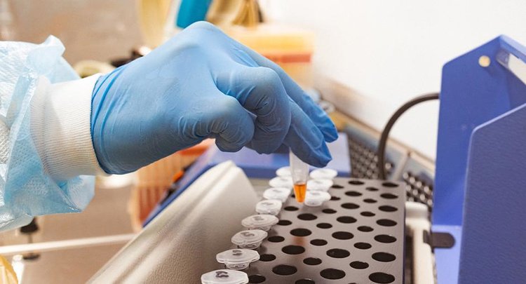 Незаявленный компонент в импортных мясных полуфабрикатах выявили эксперты Оренбургского филиала ЦОК АПК