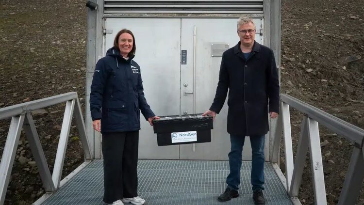 В глобальное хранилище семян на Шпицбергене продолжается закладка образцов