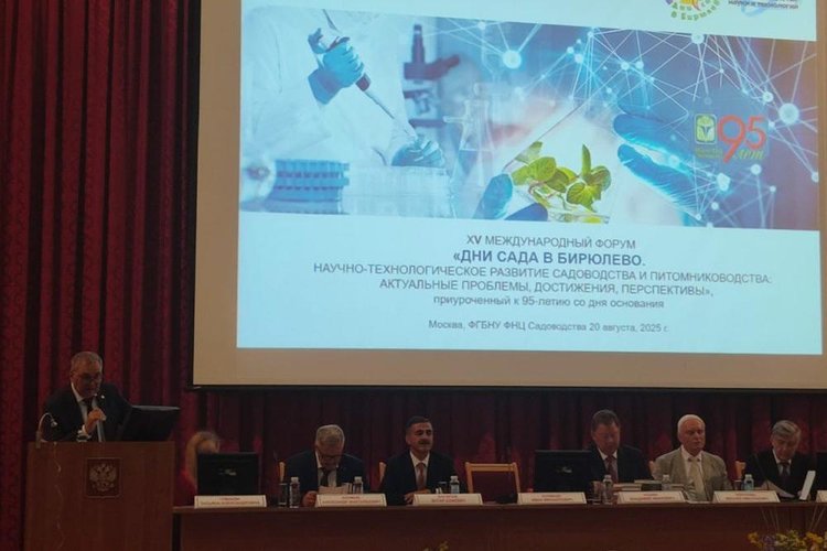 Самые лучшие сорта клубники для Сибири выяснили российские исследователи