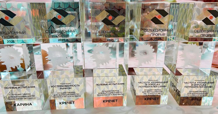 Селекция «Щелково Агрохим» покоряет «Русское поле» и всю Россию