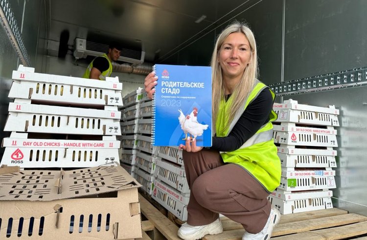 Производство инкубационного яйца запустила Сухобузимская птицефабрика в Краснярском крае