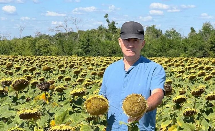 Что показали тестовые применения гуматов на засушливых полях Донбасса в этом году
