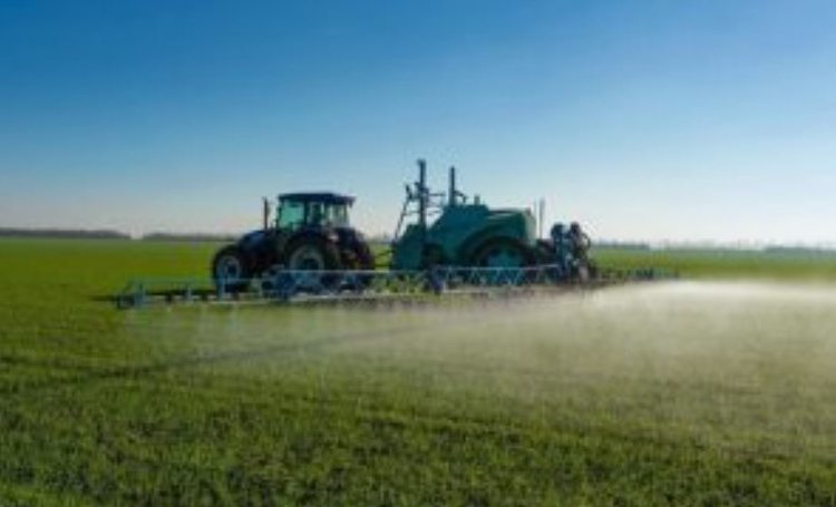 Продолжаются случаи безответственного отношения аграриев к пчеловодам: не предупреждают об опрыскиваниях