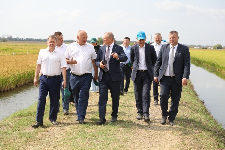 За годы работы ФНЦ риса внедрено в производство более 150 высокоурожайных сортов