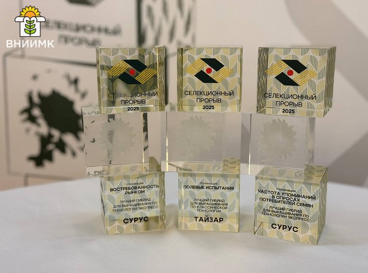 Награжденные в рамках «Селекционного прорыва» гибриды подсолнечника кубанской селекции устойчивы к заразихе