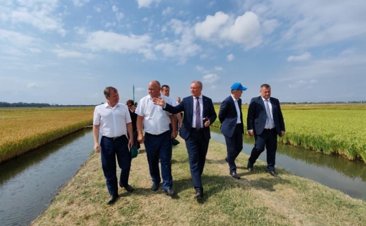 Российским рисоводам предстоит увеличить урожай до 2 млн тонн к 2030 году