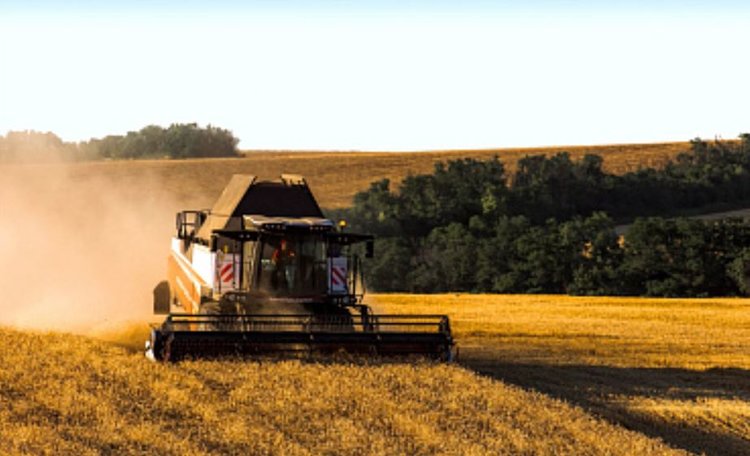 100 млн тонн зерна собрали российские аграрии к 5 сентября