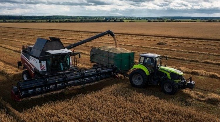 В Свердловской области семенами пшеницы местной селекции засеяно 97 процентов площадей
