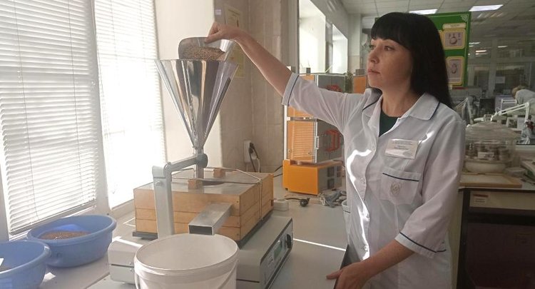 ЦОК АПК по Москве и Московской области проверил 170 тысяч тонн зерна в рамках госмониторинга